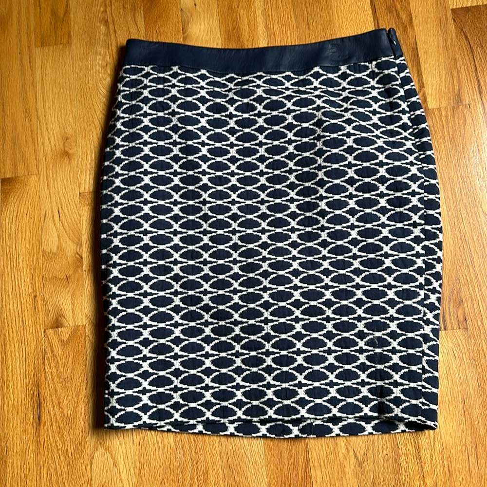 Skirt - Blue and White Skirt - Limited Size 8
